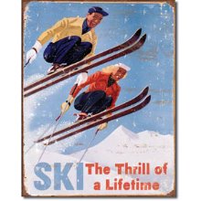 Ski - Thrill of a Lifetime 스키 틴사인31.5x40.5cm,메탈시티