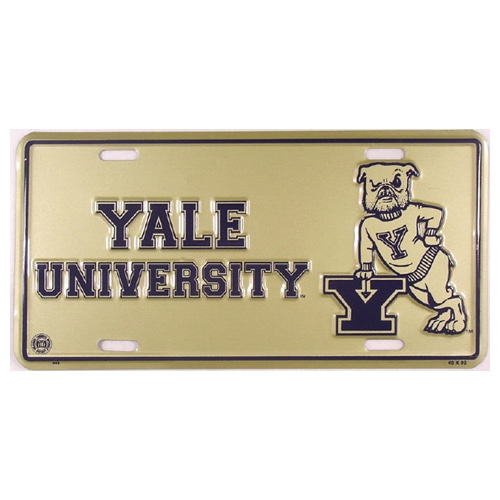 Yale University-1 30.5x15.0cm,메탈시티