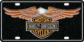 Harley Davidson with Eagle Deluxe Plate 30.5x15.5cm,메탈시티