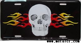 Skull &amp; Flames30.5x15.0cm,메탈시티