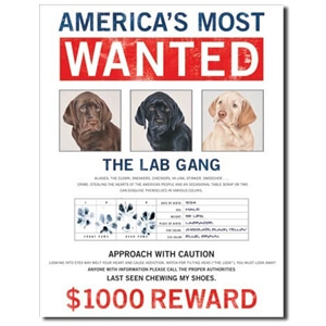 Americas Most Wanted The Lab Gang 틴사인31.5x40.5cm,메탈시티